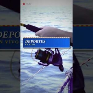 Combo Caña + Reel — EJEMPLO