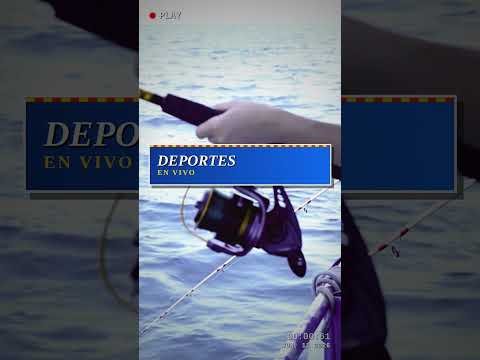Combo Caña + Reel — EJEMPLO