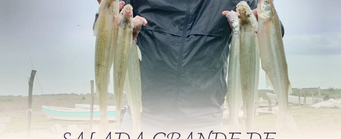 Pesca en la Salada Grande de Madariaga: guía completa del paraíso del pejerrey